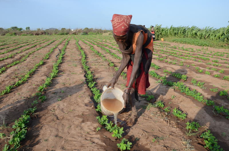 Ide remaja menjadi berkah bagi petani Turkana