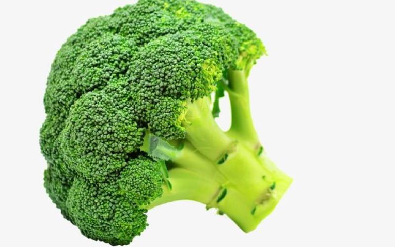 Menanam brokoli itu mudah, coba tahun ini