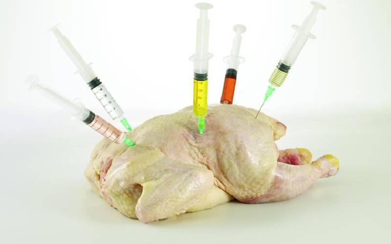 Enam tips untuk membatasi antibiotik pada burung