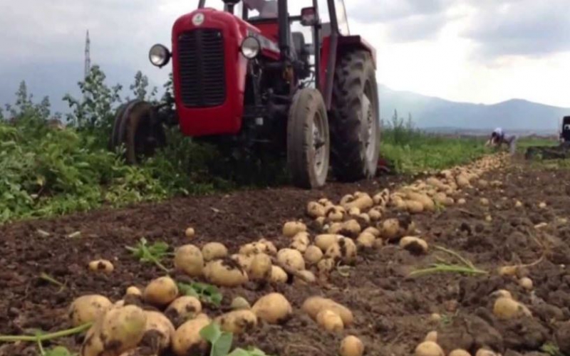 Nakuru Mechanized Potato farming part 2 KTN Farmers TV
