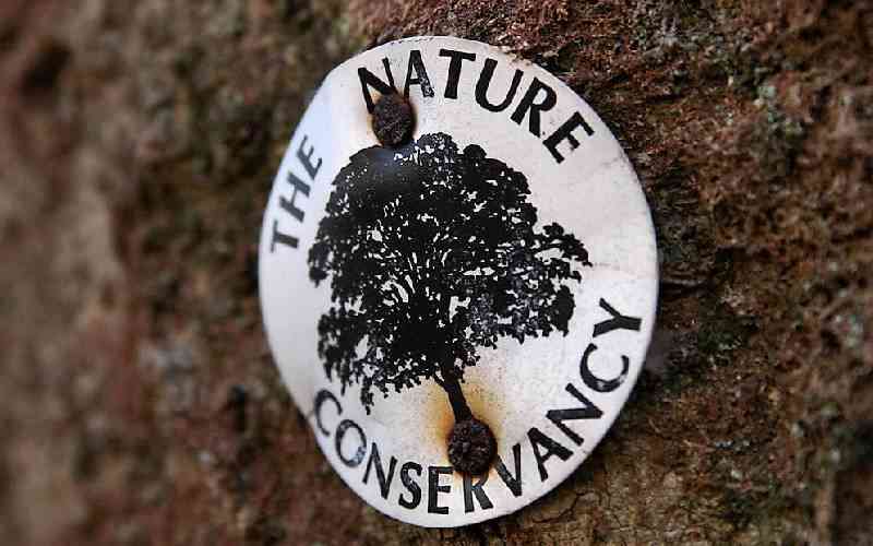 Nature has solutions to our environmental challenges