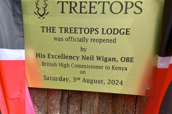 Treetops reopens after three years of closure due to Covid-19