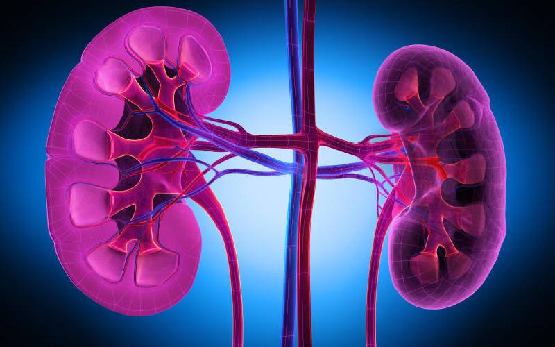 Kidney transplant better, cheaper than dialysis