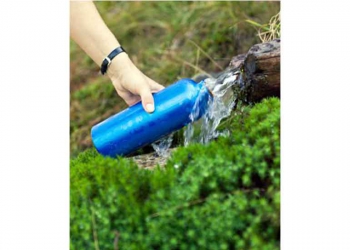 Why reusing your water bottle is more unhygienic than licking a dog toy -  Chronicle Live