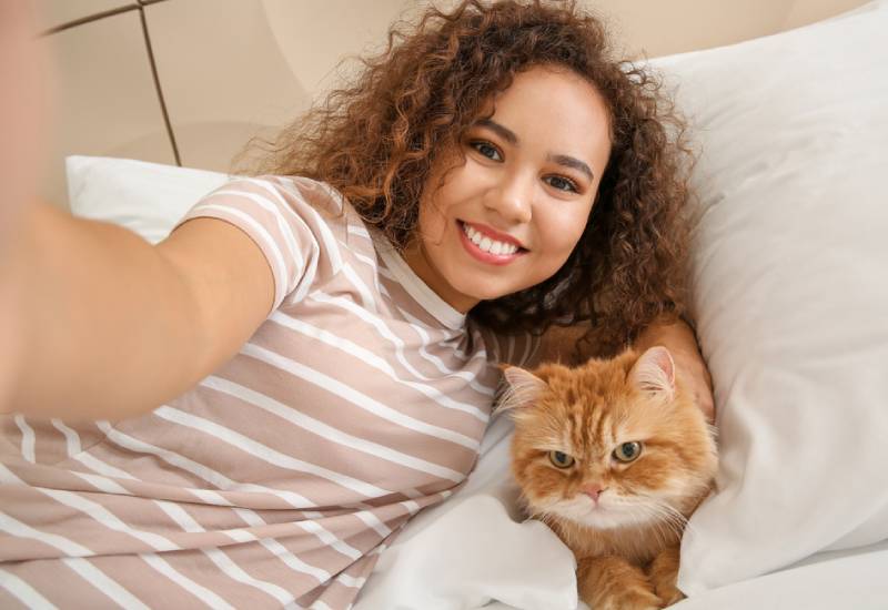 Six ways a cat can improve your health and happiness 