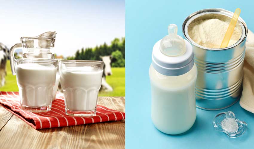 How cow milk and baby formula may lead to obesity - Eve Woman