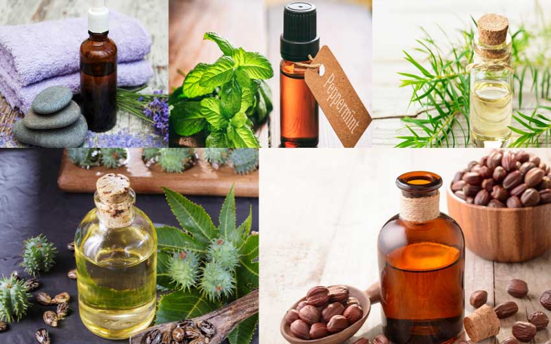Essential oils that are great for your natural hair
