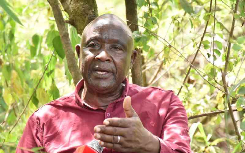 Bungoma's retired chief bets on bamboo trees to fight climate