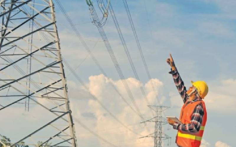 Private electricity producers key to universal power access