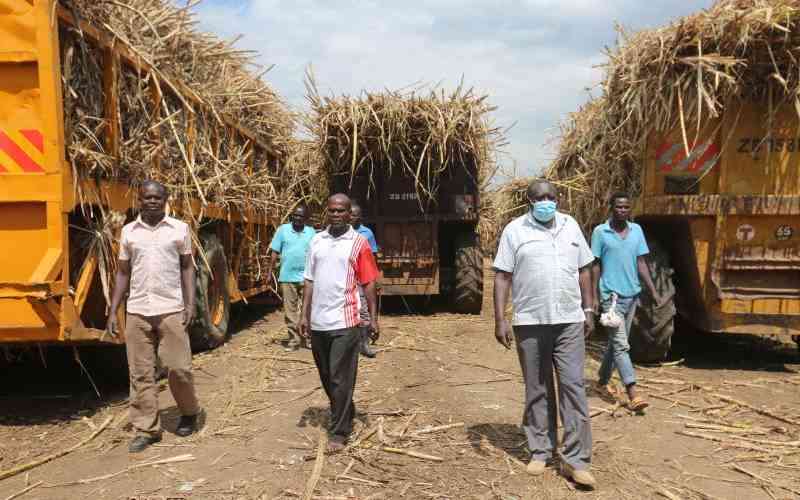 Sugar millers crushed by Sh117 billion debt