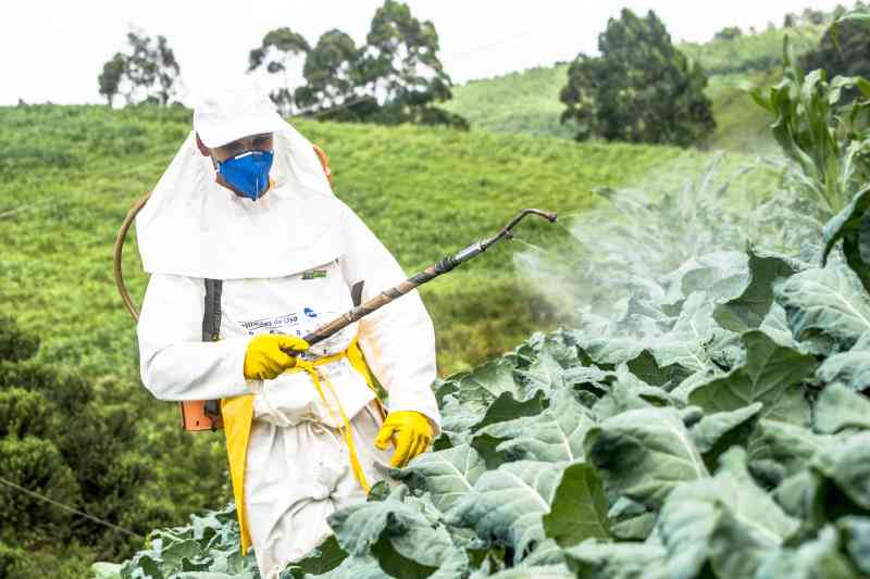 EU Commission to cut pesticides by half in 2030