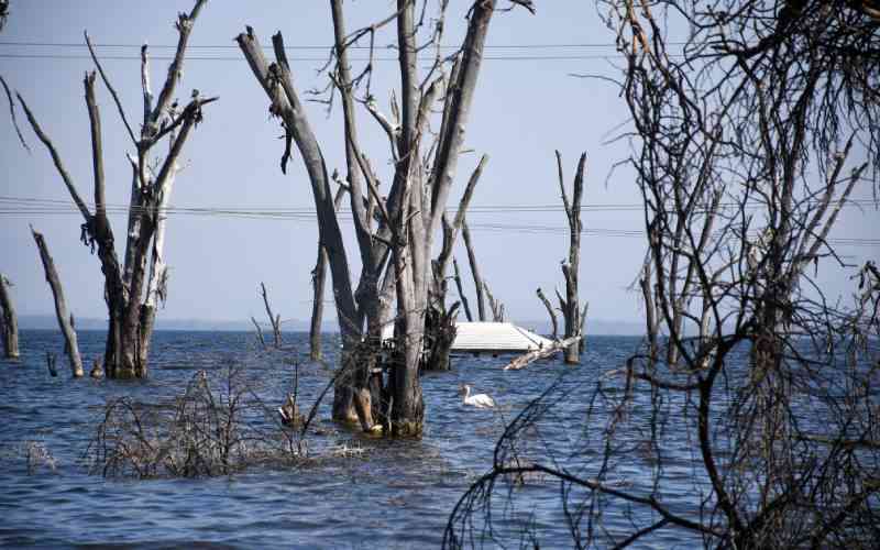 Rising Rift Valley waters put thousands at risk as El Nino looms