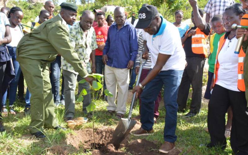 Vihiga plants 10,000 trees to boost forests