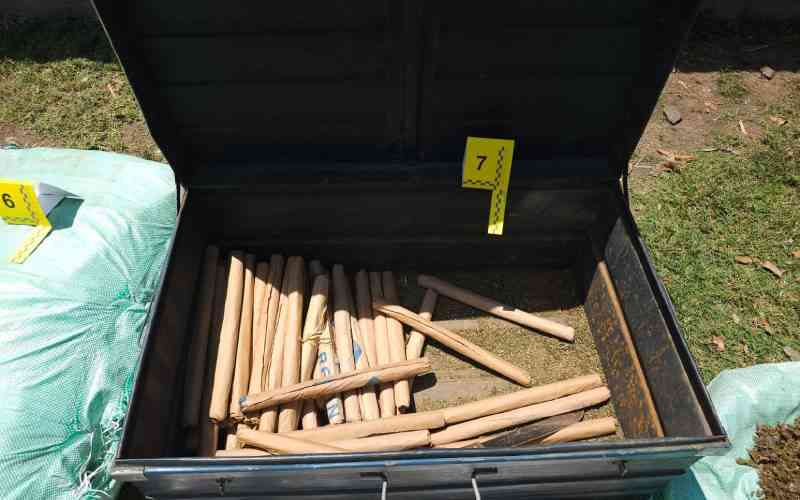 NACADA nets Sh12m bhang in dawn Kisumu raid