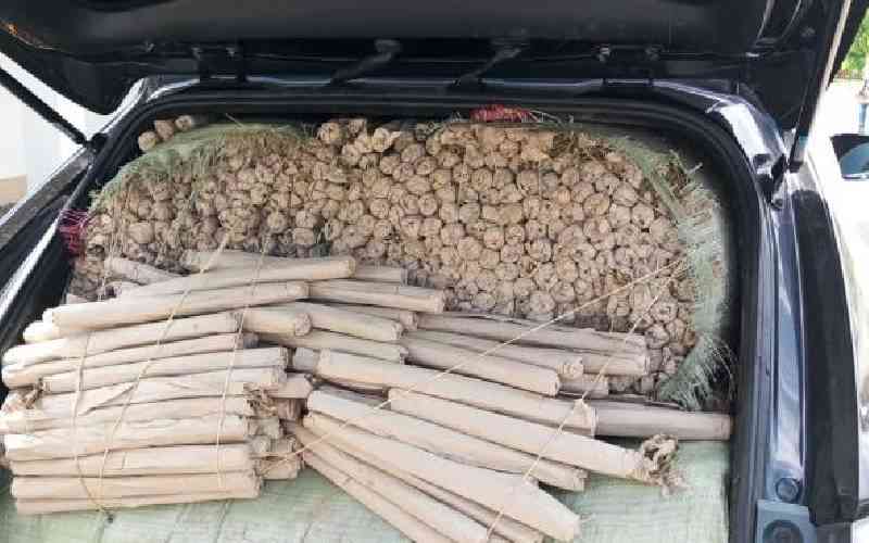 Police seize Sh10m bhang,  counterfeit alcohol