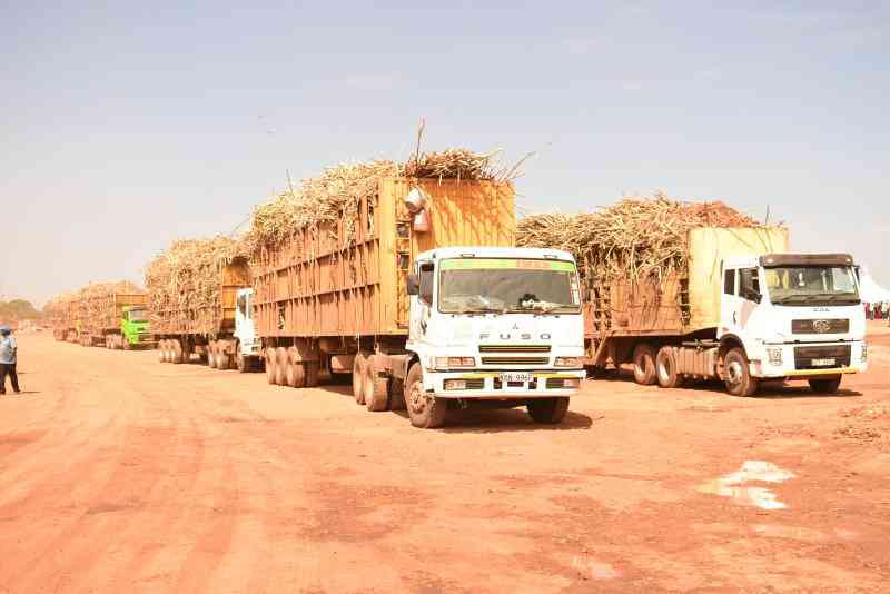 Is Kenya Sugar Board justified to reduce cane prices?
