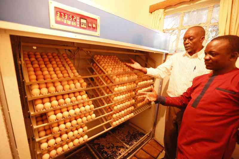Eight steps to managing a profitable hatchery
