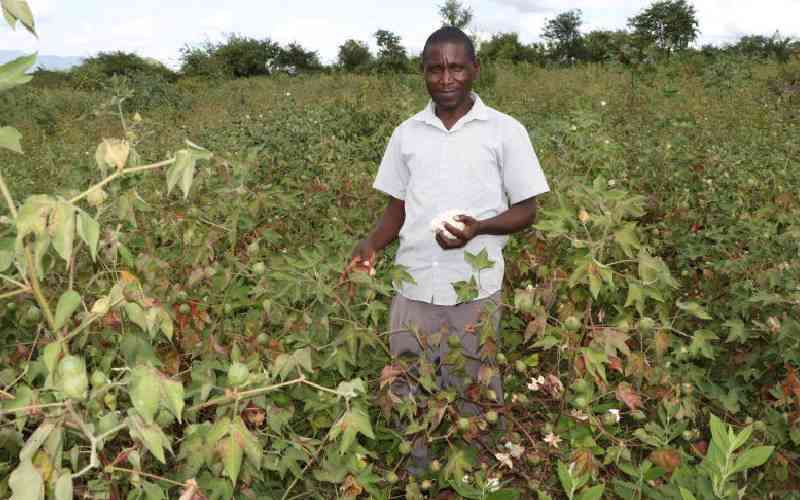 Kenya's long way back to cotton farming pulls new investment