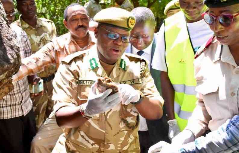 Parks fees set to go up as KWS seeks to bridge funding gap through raising gate charges