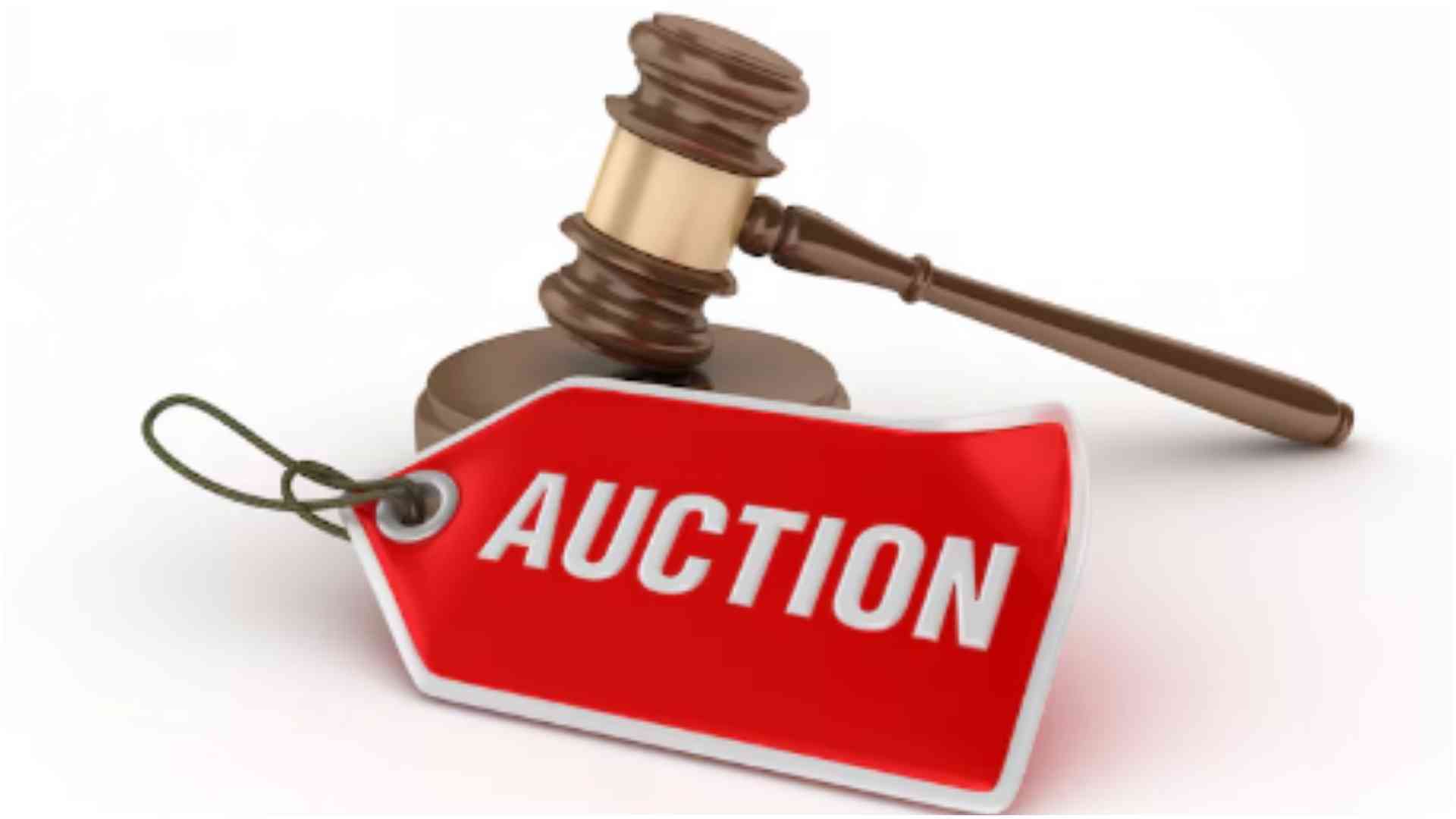 Why creditors cannot auction government assets to recover debts
