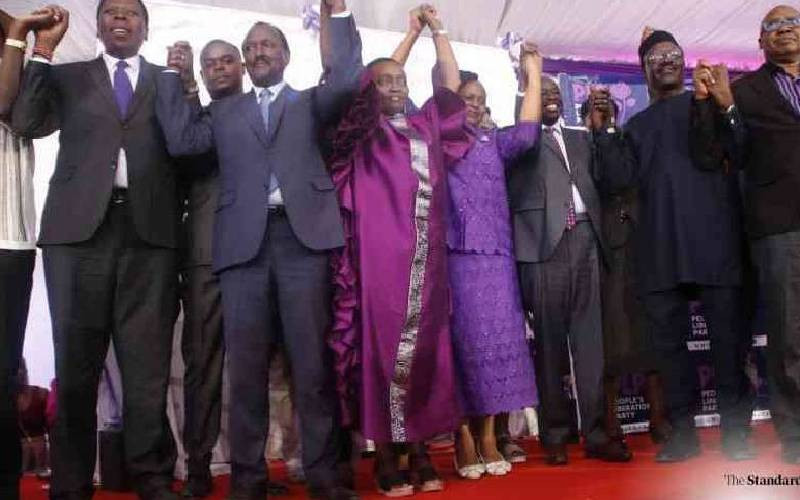 United Opposition should go beyond holding political rallies