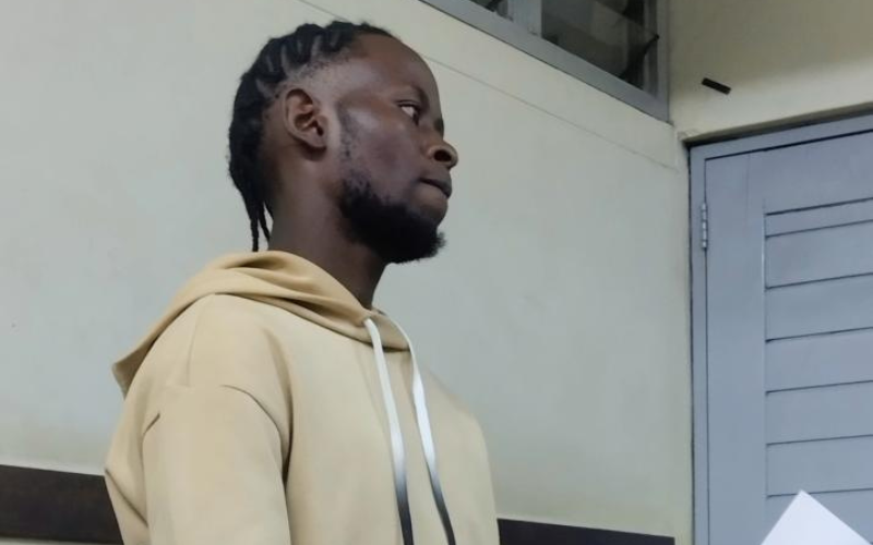 Ugandan 'whips niece for failing potty test'