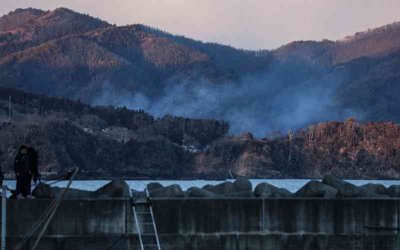 Japan deploys 2,000 firefighters to tackle forest blaze