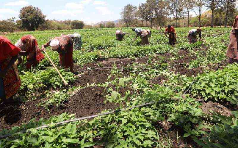 Food security, gender equality key to Sustainable Development Goals