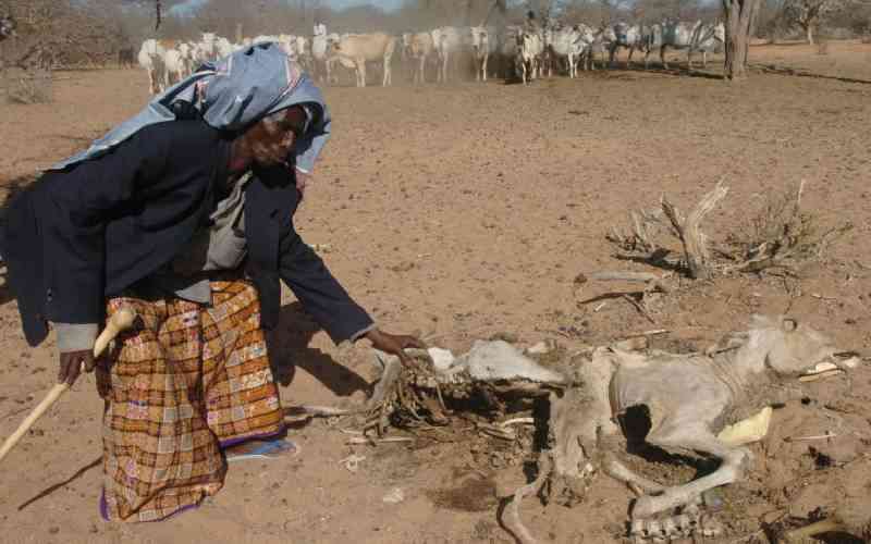 Concern as USAID famine monitoring system shuts down