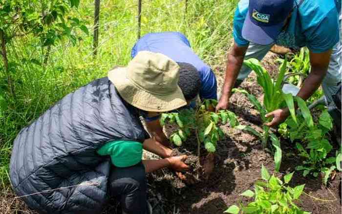 Let every family participate in building Kenya's future