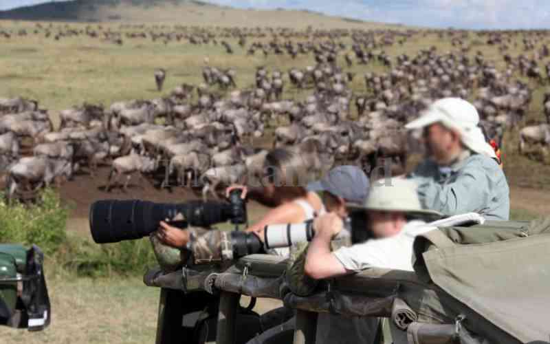 Outrage after tourists and guides filmed blocking wildebeest crossing