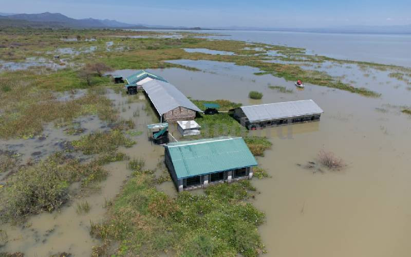 El Nino puts 1.5m Kenyans at risk of humanitarian, economic shocks