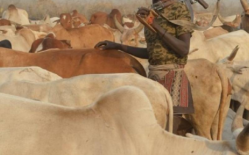 Security agents recover livestock stolen from Uganda