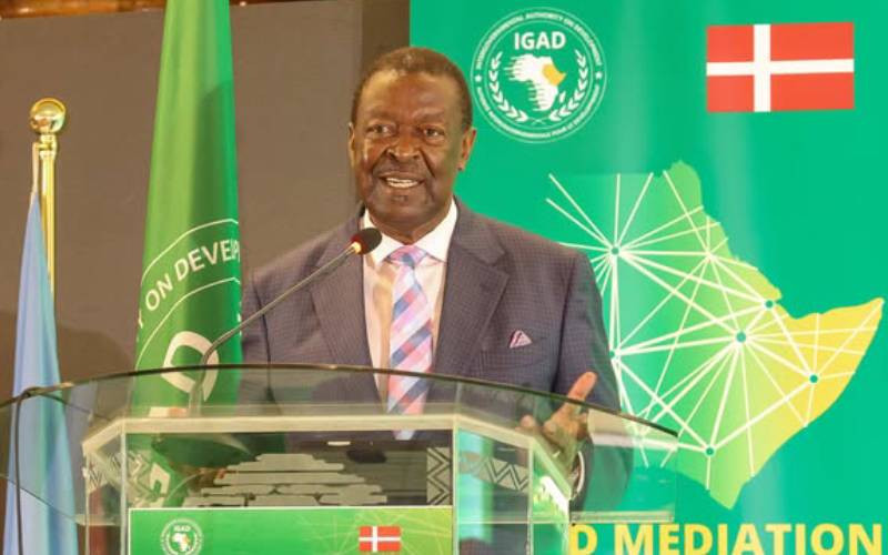 IGAD calls for urgent shift in mediation as Sudan crisis deepens