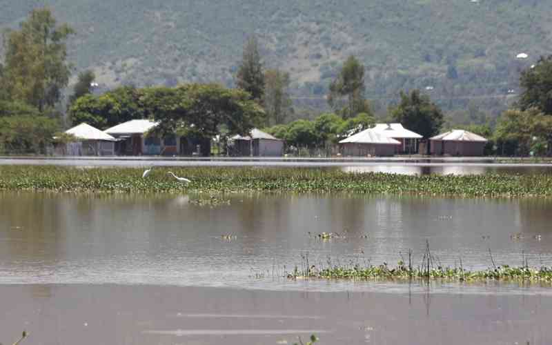 Government flags flood hotspots in Tana River as death toll rises nationwide