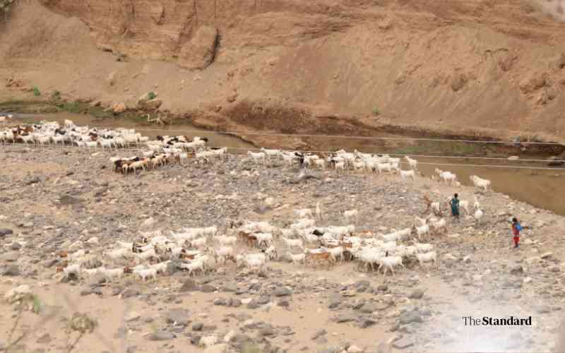 Climate change, poor planning strain Kenya's water resources