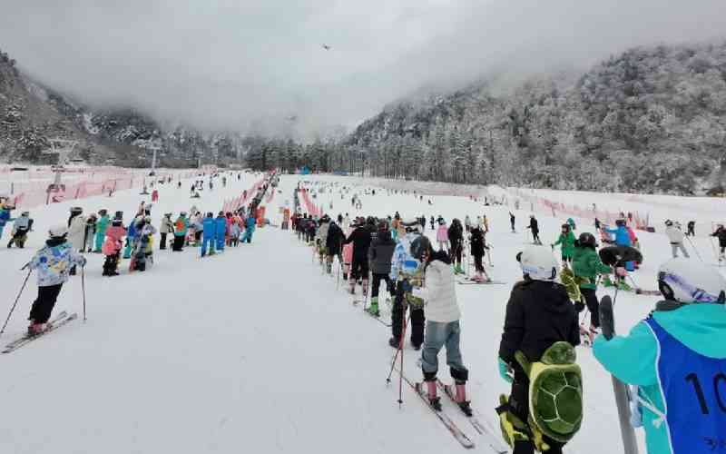 Experts: Chinese post growing interest in ice, snow fun as life gets better