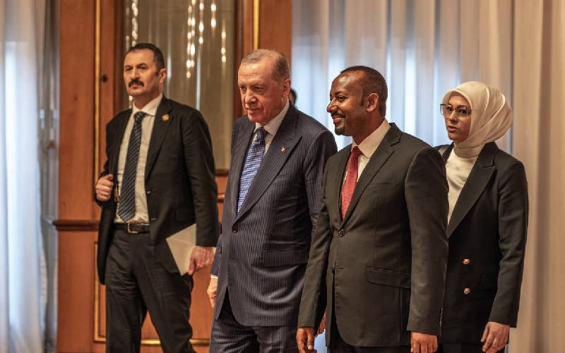 Turkey MPs back moves to 'reintegrate' former Kurdish fighters