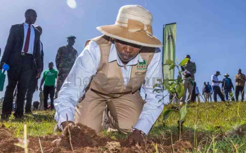 First Lady launches initiative to plant 500 million trees by 2032