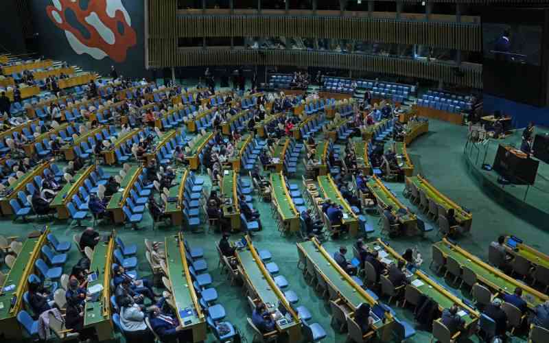 Tanzania, Rwanda hailed for fight against maternal deaths at UNGA