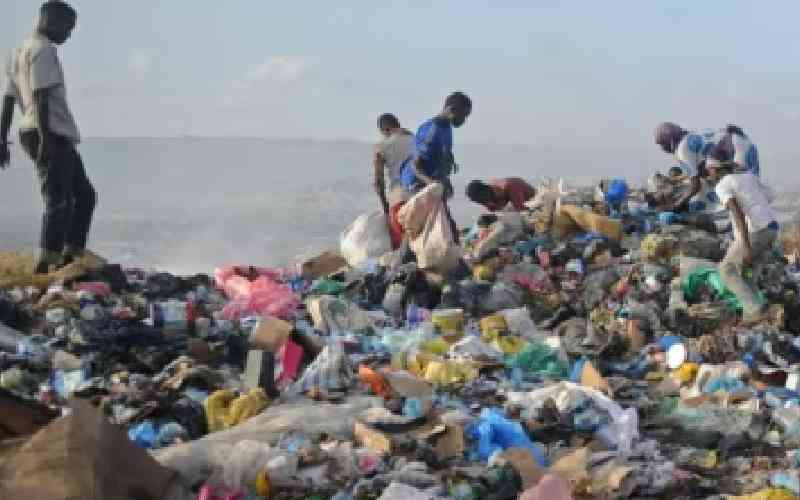 Somalia bans plastic bags in pollution fight