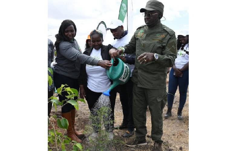 Grow trees to restore soils for sustainable growth, Kenyans told