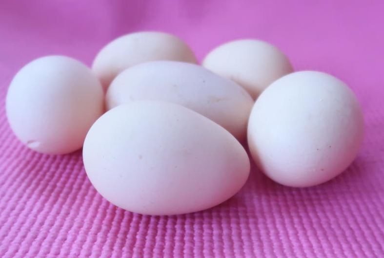 How one egg a day could help Kenya fight malnutrition