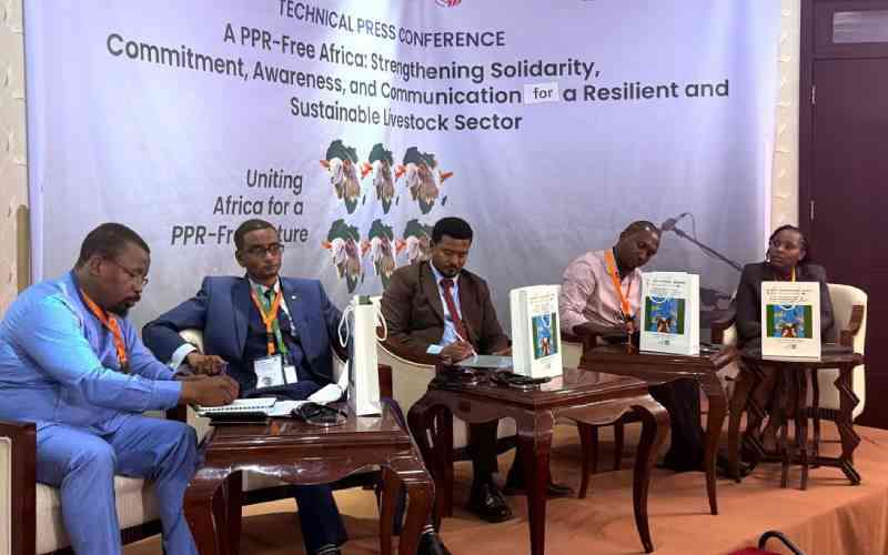 Africa urges more domestic funding to sustain gains against goat plague