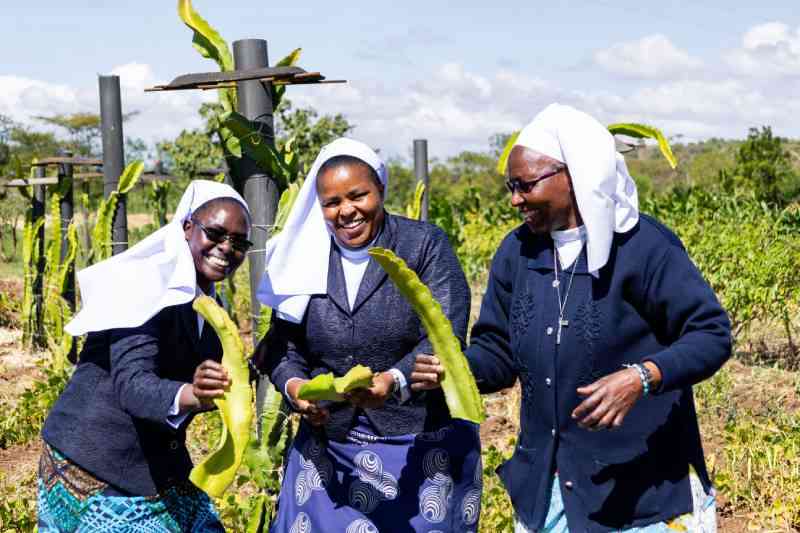 Catholic Sisters in Africa embrace social enterprise to sustain mission impact