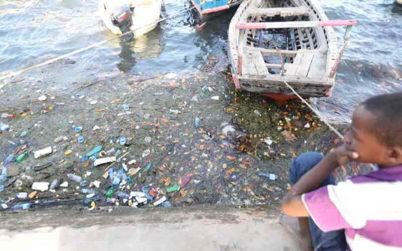 How ocean plastic could end up on your plate