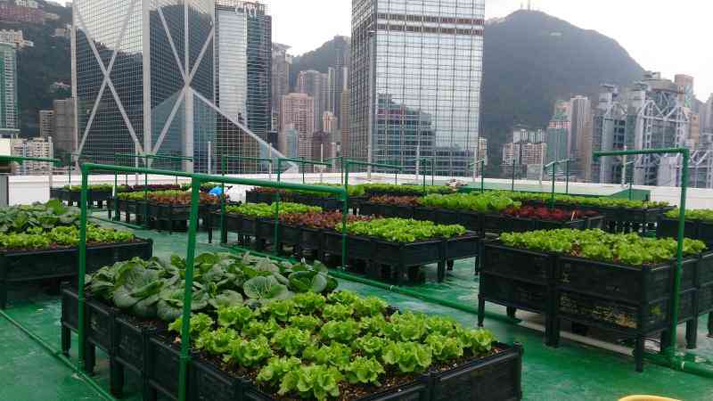 Farms in cities: Smart ideas for planners
