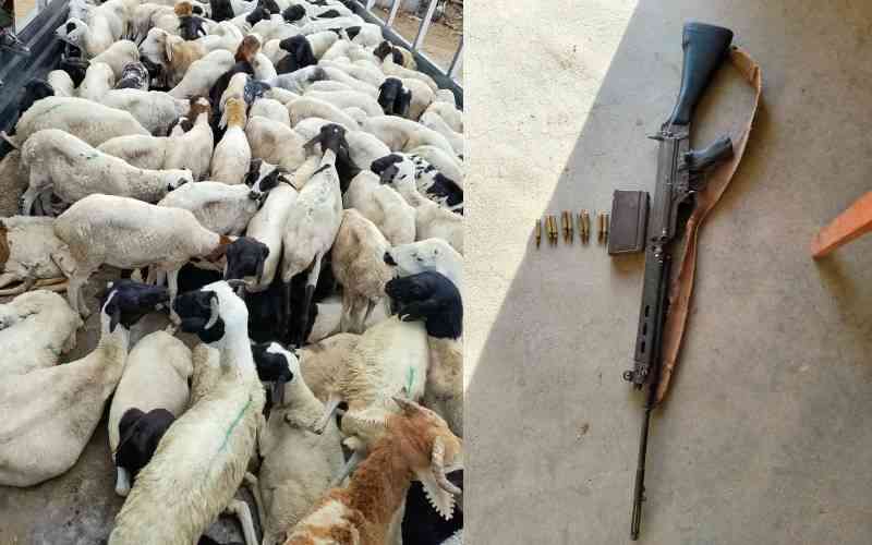 Police recover firearm, and livestock in Turkana operation