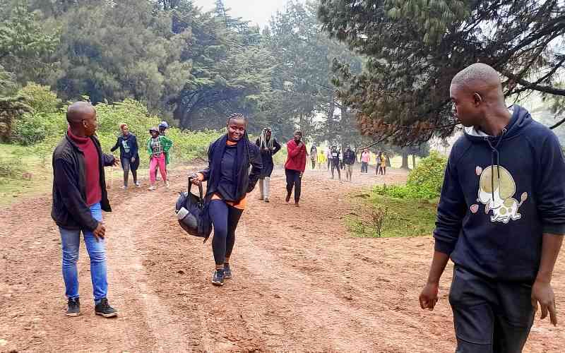 Nature's cure: How forest walks cut stress, boost health