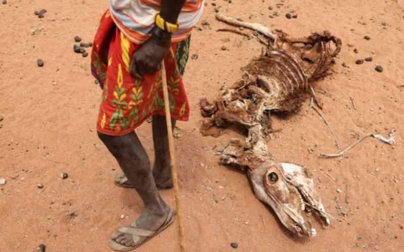 Drought pushes 2.1 million to brink of famine in northern Kenya